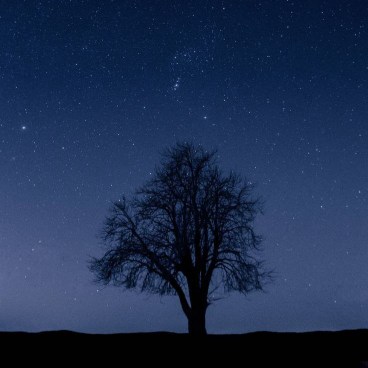 آهنگ جدید  چه تلخه چه تلخه - ترند